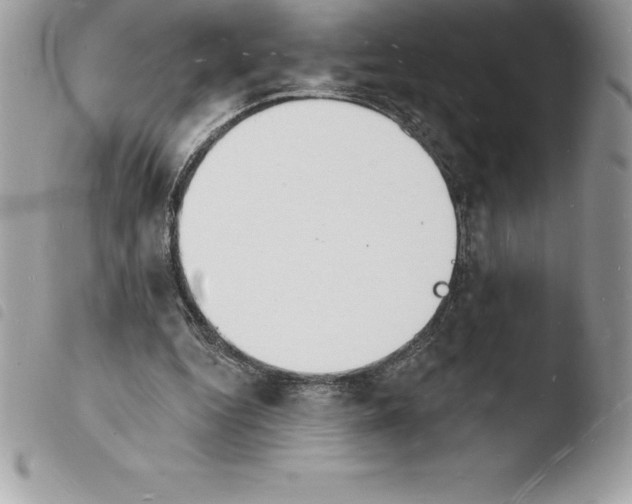X0000103970344200810171930