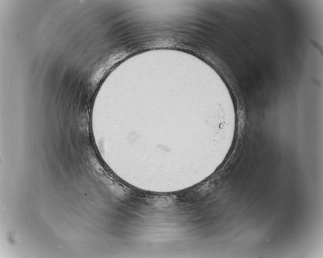 X0000103970345200810171930