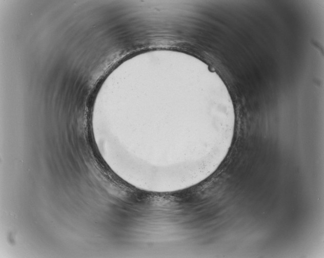 X0000103970346200810171930