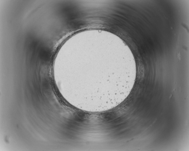 X0000103970348200810171930