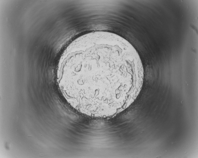 X0000103970351200810171930
