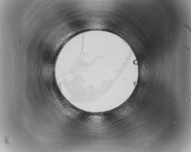 X0000103970352200810171930