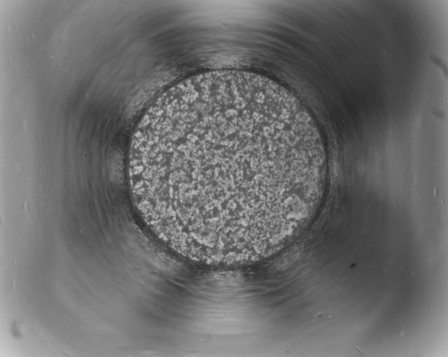 X0000103970353200810171930