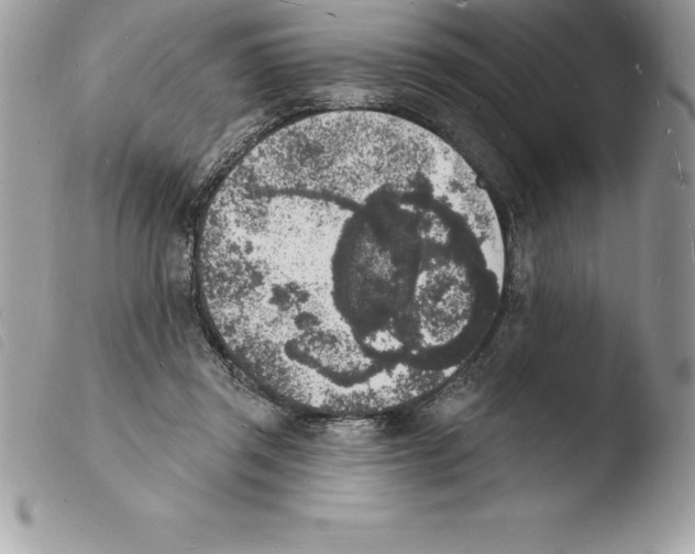 X0000103970357200810171930