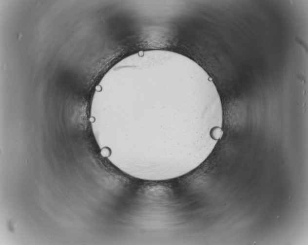 X0000103970360200810171931