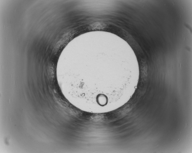 X0000103970362200810171931