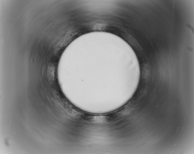 X0000103970363200810171931