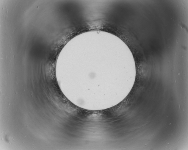 X0000103970364200810171931
