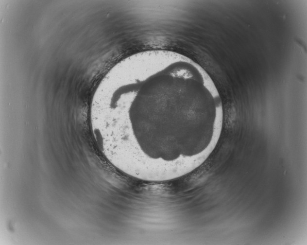 X0000103970365200810171931