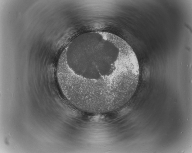 X0000103970366200810171931