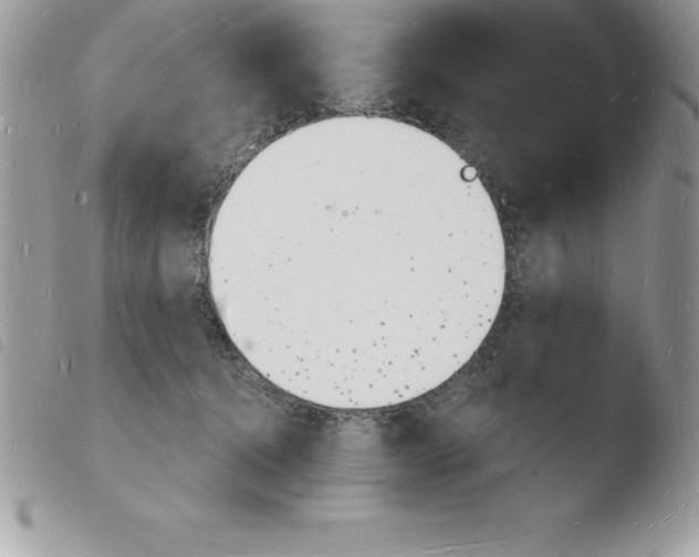 X0000103970368200810171931