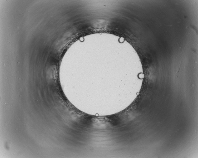 X0000103970372200810171931