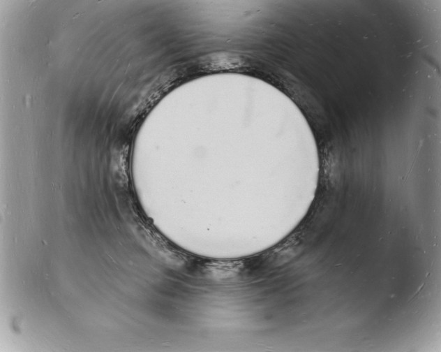 X0000103970373200810171931