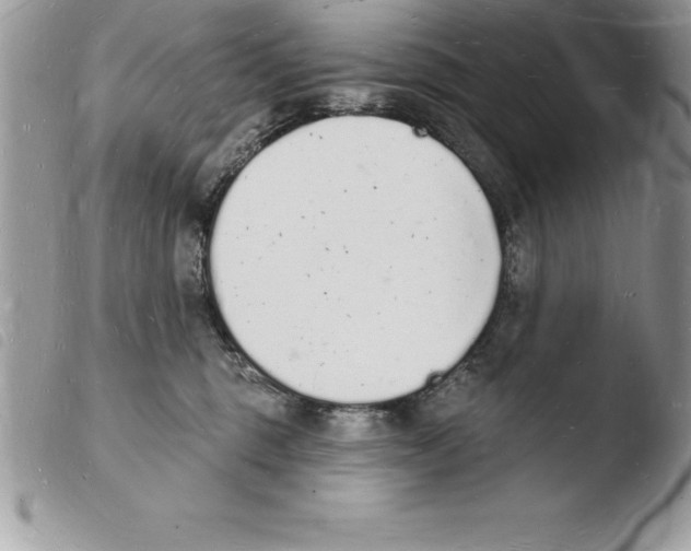 X0000103970375200810171931