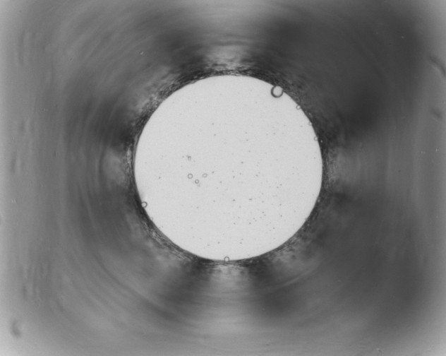 X0000103970376200810171931