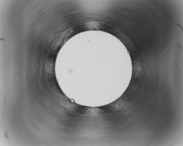 X0000103970379200810171931