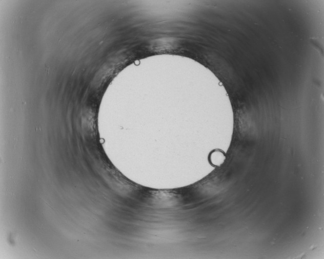 X0000103970380200810171931