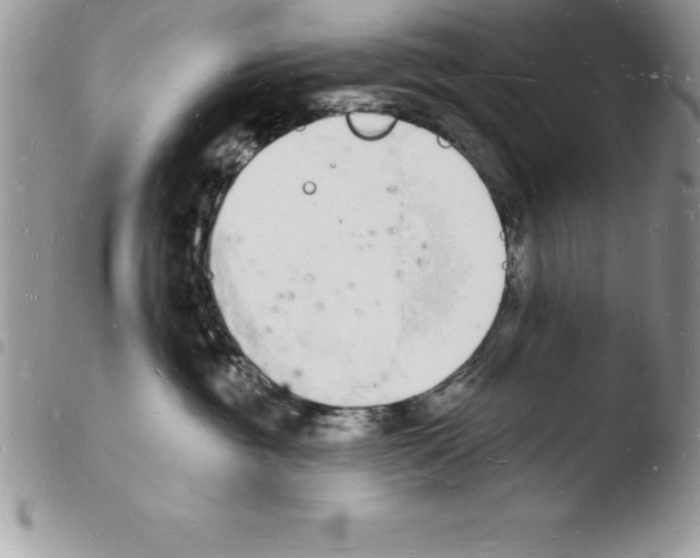 X0000103970381200810171931