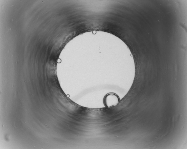 X0000103970384200810171931