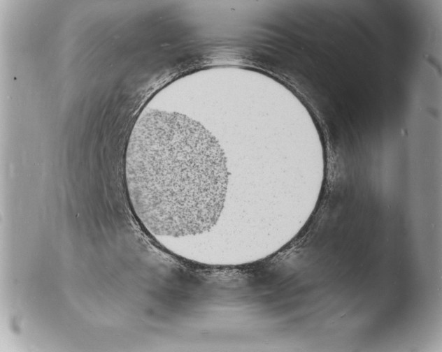 X0000103970385200810171930