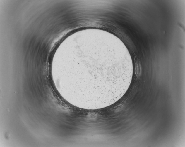 X0000103970388200810171930