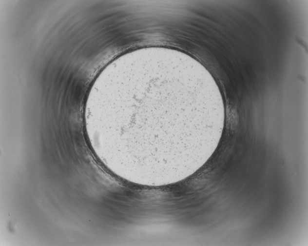 X0000103970389200810171930