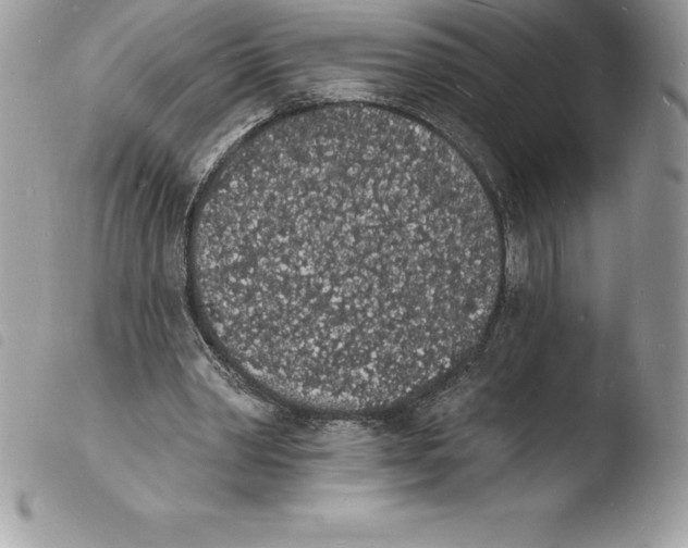 X0000103970390200810171930