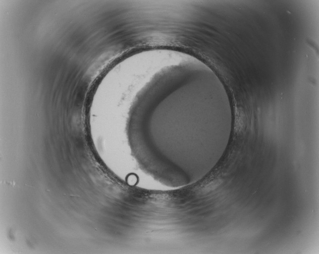 X0000103970391200810171930