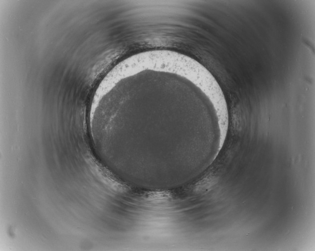 X0000103970398200810171930