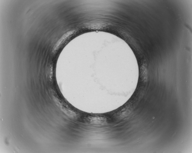 X0000103970400200810171930