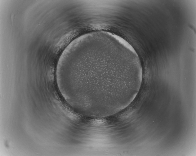 X0000103970402200810171930