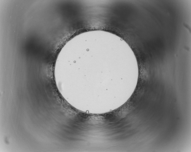 X0000103970403200810171930