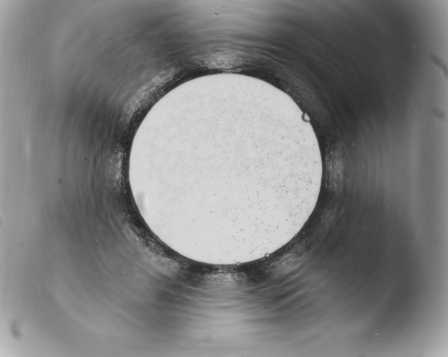 X0000103970404200810171930