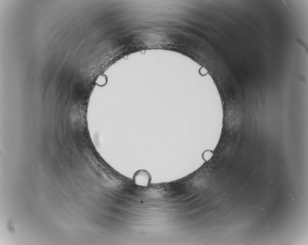 X0000103970405200810171930