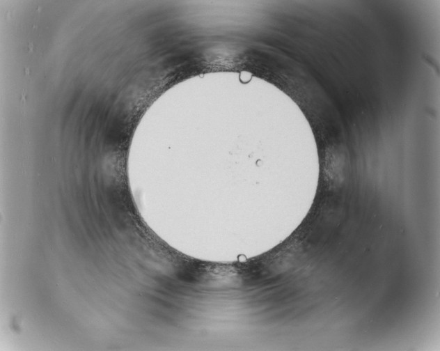 X0000103970409200810171930
