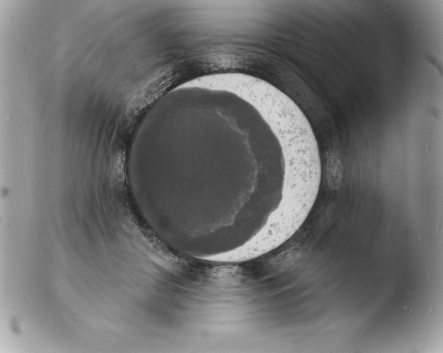 X0000103970410200810171930