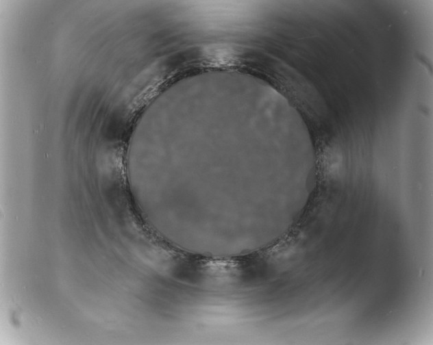 X0000103970415200810171929