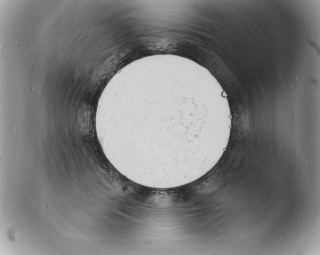 X0000103970416200810171929