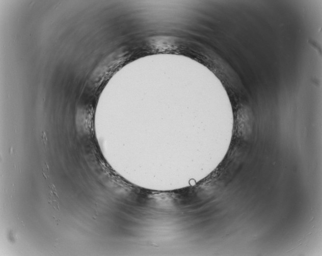 X0000103970417200810171929