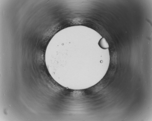 X0000103970418200810171929