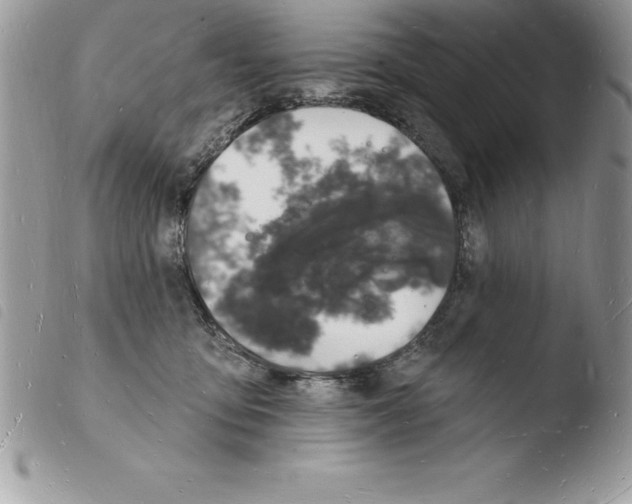 X0000103970419200810171929