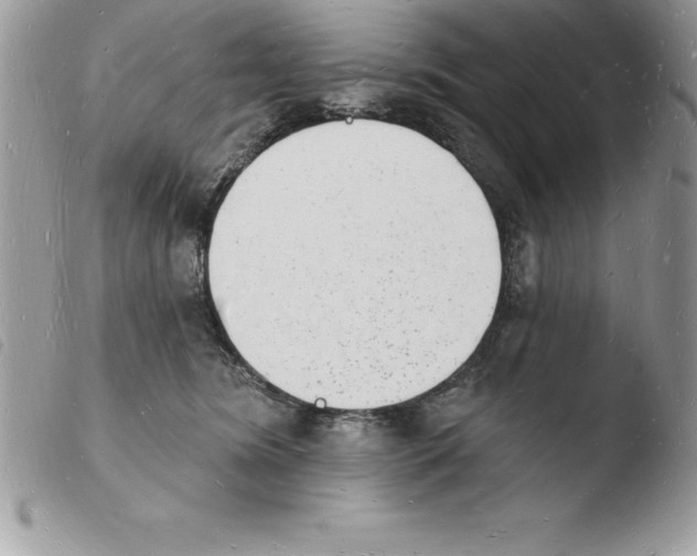 X0000103970420200810171929
