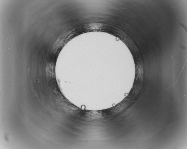 X0000103970421200810171929