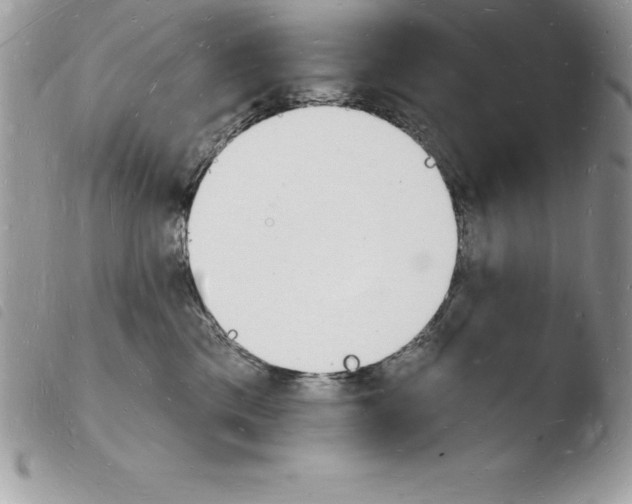X0000103970425200810171929