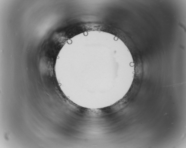 X0000103970429200810171929
