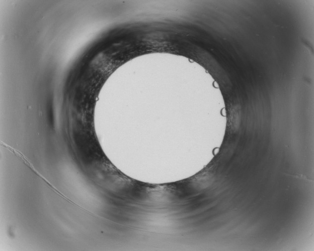 X0000103970430200810171929