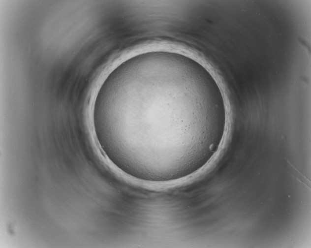 X0000103970431200810171929