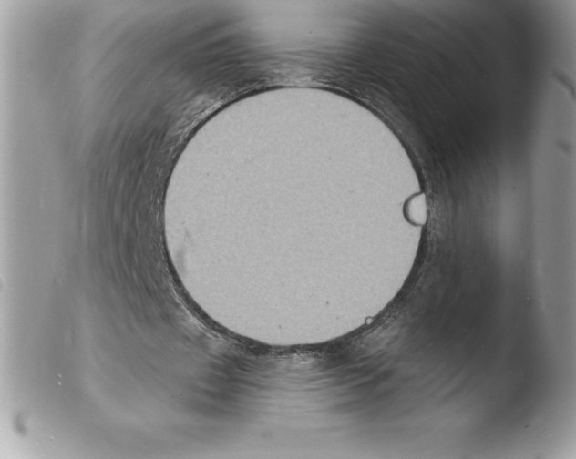 X0000103970433200810171929