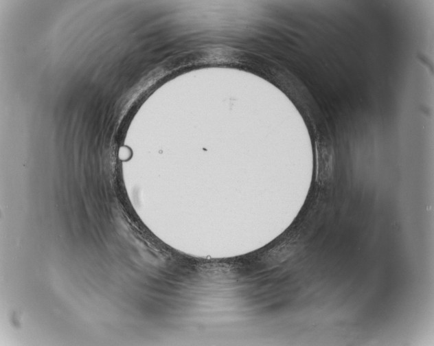 X0000103970435200810171929
