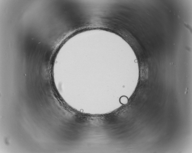 X0000103970436200810171929
